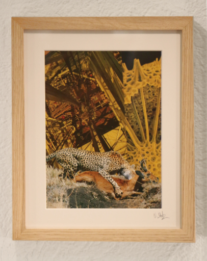 Collage Kunst